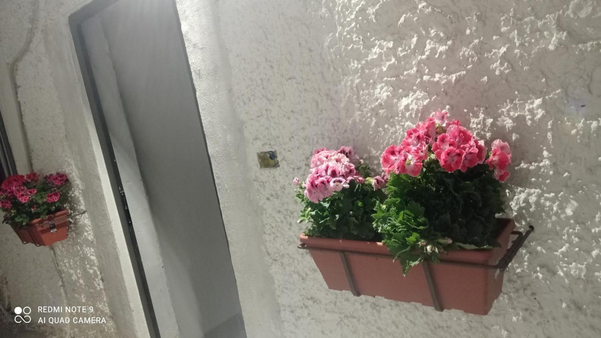 Ortensia C House Villa Catania Exterior foto